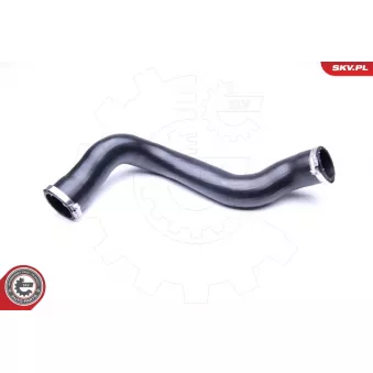 Gaine de suralimentation ESEN SKV 24SKV776