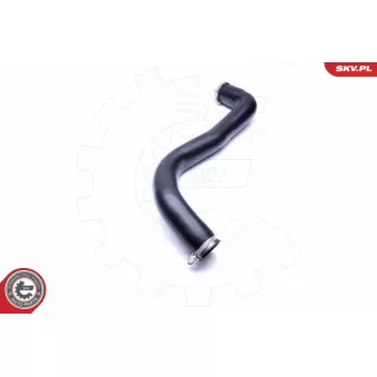 Gaine de suralimentation ESEN SKV 24SKV783