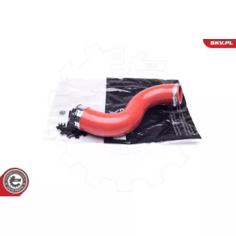 Gaine de suralimentation ESEN SKV 24SKV810