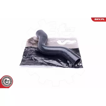 Gaine de suralimentation ESEN SKV 24SKV815