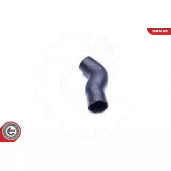 Gaine de suralimentation ESEN SKV 24SKV819