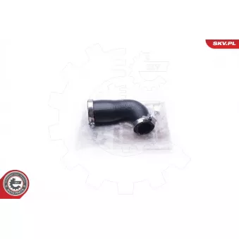 Gaine de suralimentation ESEN SKV 24SKV821