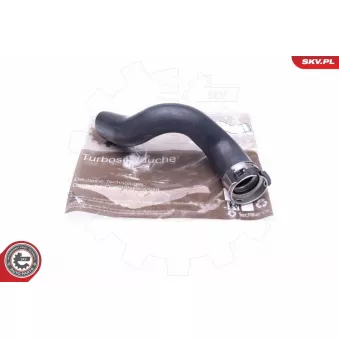 Gaine de suralimentation ESEN SKV 24SKV862