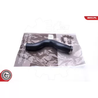 Gaine de suralimentation ESEN SKV 24SKV867