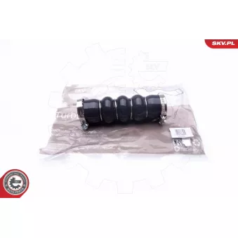 Gaine de suralimentation ESEN SKV 24SKV868