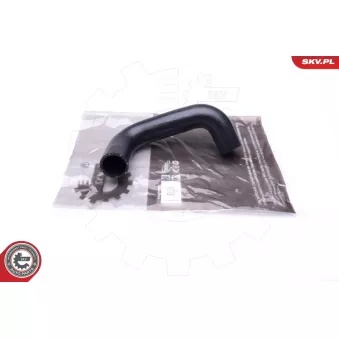 Gaine de suralimentation ESEN SKV 24SKV883