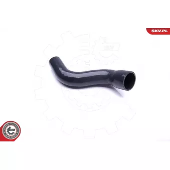 Gaine de suralimentation ESEN SKV