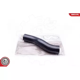 Gaine de suralimentation ESEN SKV 24SKV909