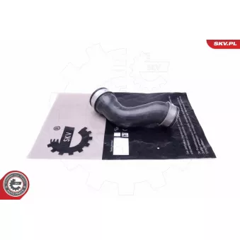 Gaine de suralimentation ESEN SKV 24SKV962