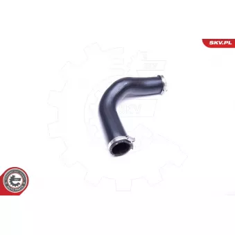 Gaine de suralimentation ESEN SKV 24SKV973