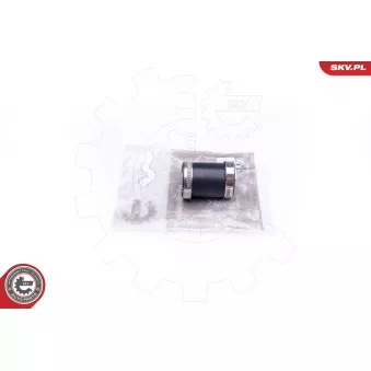 Gaine de suralimentation ESEN SKV 24SKV974