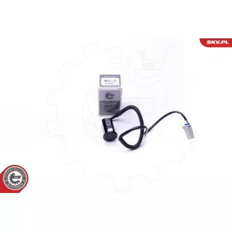 Capteur, aide au stationnement ESEN SKV