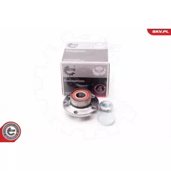 Roulement de roue arrière ESEN SKV 29SKV004