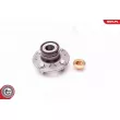 Roulement de roue arrière ESEN SKV 29SKV030 - Visuel 2
