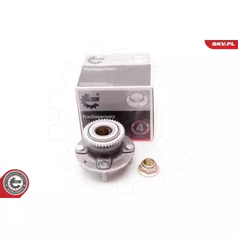 Roulement de roue arrière ESEN SKV 29SKV066