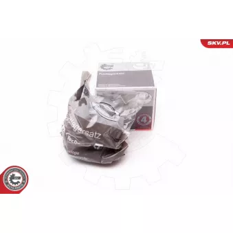 Roulement de roue arrière ESEN SKV 29SKV088