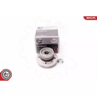 Roulement de roue arrière ESEN SKV