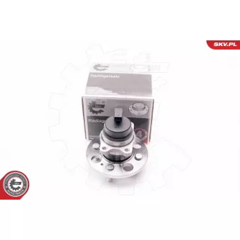 Roulement de roue arrière ESEN SKV