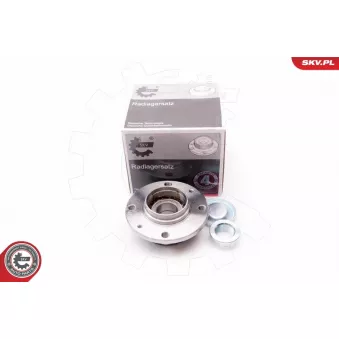 Roulement de roue arrière ESEN SKV
