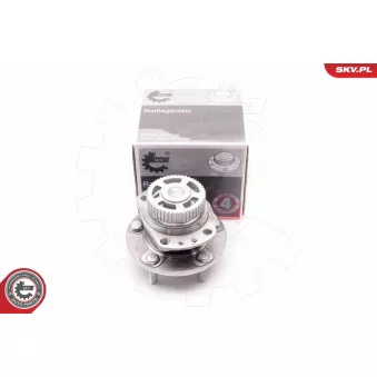 Roulement de roue arrière ESEN SKV