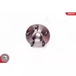 Roulement de roue arrière ESEN SKV 29SKV168 - Visuel 3