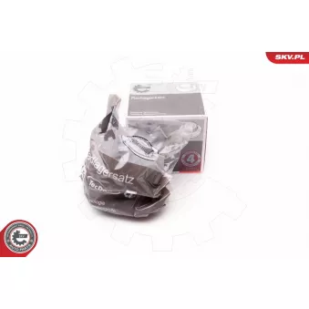 Roulement de roue arrière ESEN SKV 29SKV217