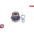 Roulement de roue arrière ESEN SKV 29SKV217 - Visuel 3