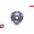 Roulement de roue arrière ESEN SKV 29SKV257 - Visuel 3