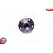 Roulement de roue arrière ESEN SKV 29SKV295 - Visuel 3