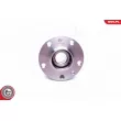 Roulement de roue arrière ESEN SKV 29SKV300 - Visuel 3