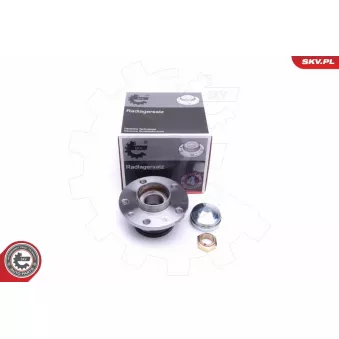 Roulement de roue arrière ESEN SKV 29SKV301