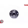 Roulement de roue arrière ESEN SKV 29SKV303 - Visuel 3