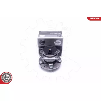 Roulement de roue arrière ESEN SKV