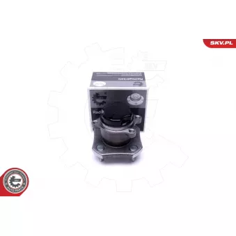 Roulement de roue arrière ESEN SKV 29SKV384