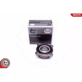 Roulement de roue arrière ESEN SKV