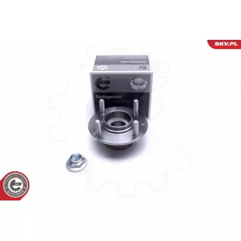 Roulement de roue arrière ESEN SKV