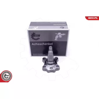 Roulement de roue arrière ESEN SKV 29SKV995