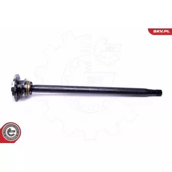 Roulement de roue arrière ESEN SKV 29SKV999