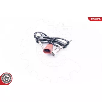 Capteur, température des gaz ESEN SKV 30SKV002