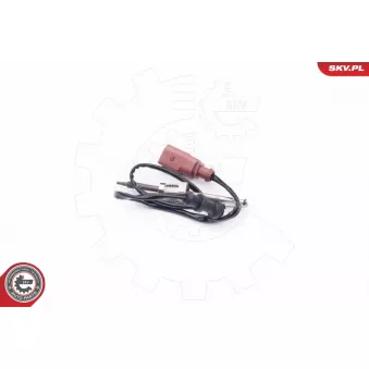 Capteur, température des gaz ESEN SKV 30SKV004