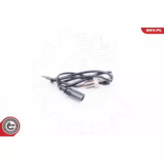 Capteur, température des gaz ESEN SKV 30SKV005