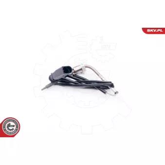 Capteur, température des gaz ESEN SKV 30SKV006