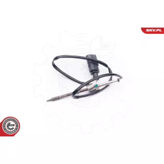 Capteur, température des gaz ESEN SKV 30SKV008