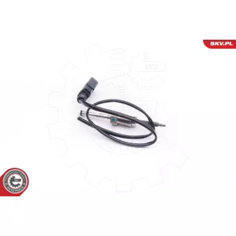 Capteur, température des gaz ESEN SKV 30SKV009