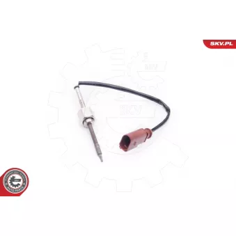 Capteur, température des gaz ESEN SKV 30SKV010