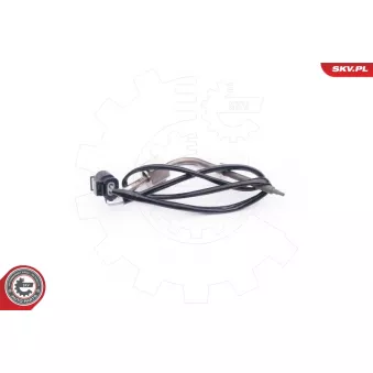 Capteur, température des gaz ESEN SKV 30SKV013