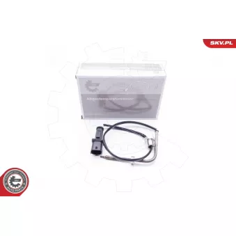 Capteur, température des gaz ESEN SKV 30SKV015