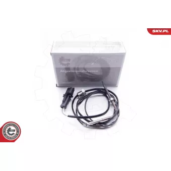 Capteur, température des gaz ESEN SKV 30SKV017