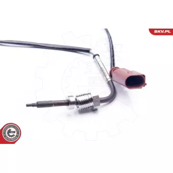 Capteur, température des gaz ESEN SKV 30SKV024
