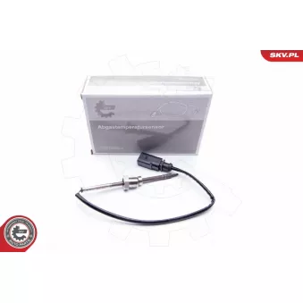 Capteur, température des gaz ESEN SKV 30SKV025